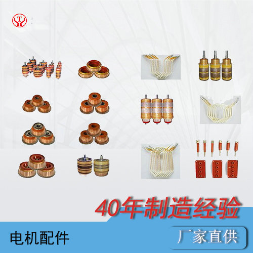 蓄電池電機車配件--牽引電機轉子(圖1)